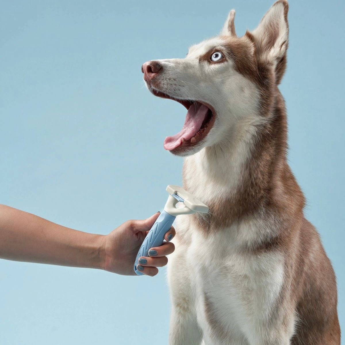 Fresh & Fluffy Grooming bar