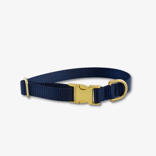 Pet Collar – Adjustable Everyday Design, Nylon Webbing, Gold Hardware, Durable & Stylish