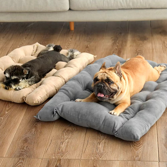 Elevated Soft Plush Pet Sofa – Raised L-Shape Bed for Small Dogs & Cats, Washable Cushion