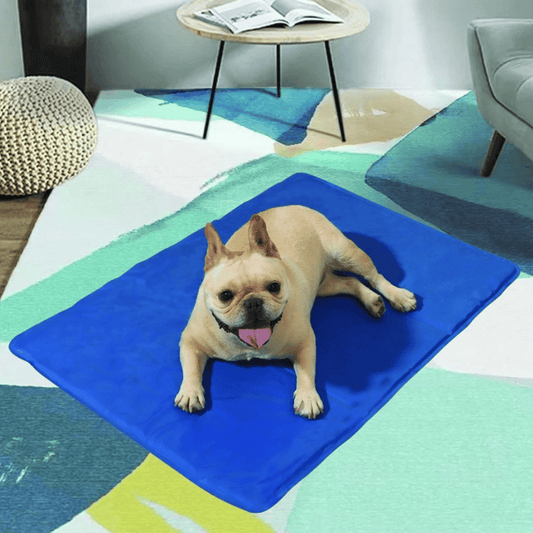 Cave Bed – Plush Enclosed Dog House, Warm Cozy Design, Washable, Non-Slip Base