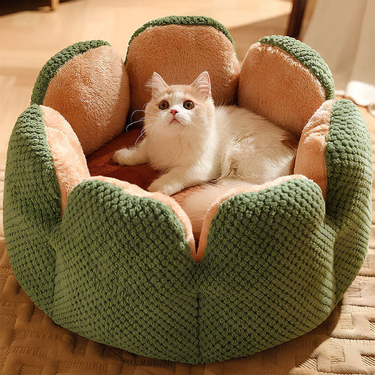 Cactus Bed – Plush Hideaway Cave, Soft Cozy Design, For Cats & Small Dogs