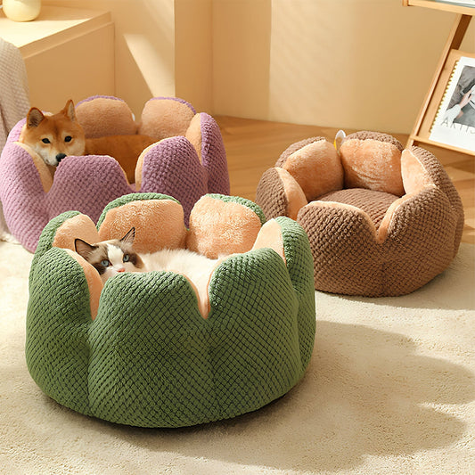 Cactus Bed – Plush Hideaway Cave, Soft Cozy Design, For Cats & Small Dogs
