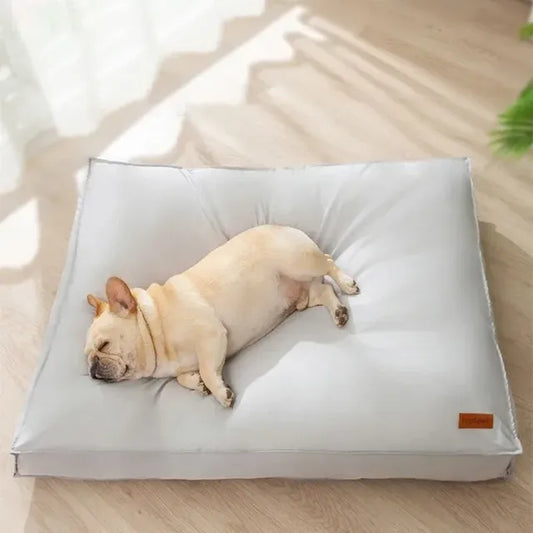 Waterproof Dog Bed Cushion – Washable Cover, Soft Support, All Sizes