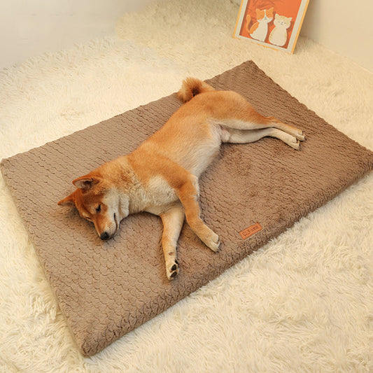 Short Plush Dog Bed Mat – Soft Plush Cushion, Washable Zipped Cover, XXS–XXL Sizes