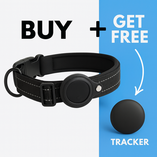 Pet GPS Tracker – Real-Time Location Tag, Waterproof, Long-Range, No-Subscription Option